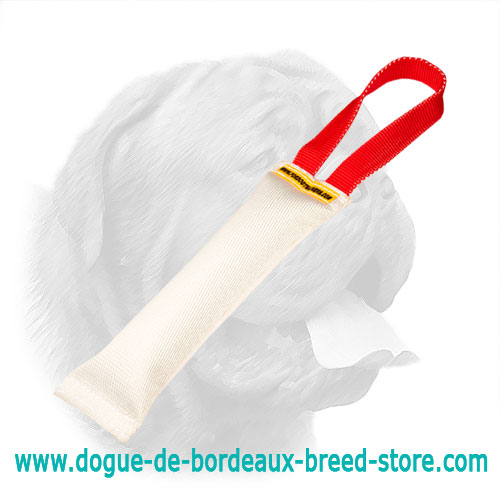 Equipped with durable nylon handle