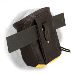 Dog training pouch for treats holding
