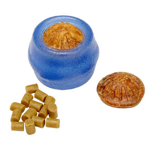 Dogue de Bordeaux chewing rubber toy for proper dental hygiene