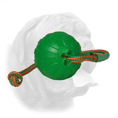 Strong bright rope for Dogue de Bordeaux toy