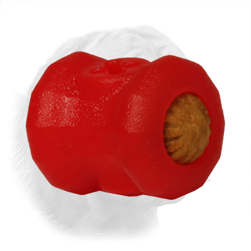 Bright innovative design of Dogue de Bordeaux toy