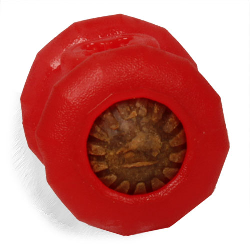 Bright innovative design of Dogue de Bordeaux toy