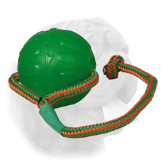 Attractive design for Dogue de Bordeaux tool