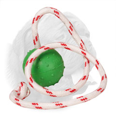 Strong colorful rope for the Dogue de Bordeaux ball