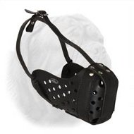 Agitation Training Leather Dogue de Bordeaux Muzzle
