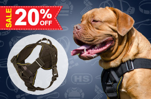 Nylon Dog Harness