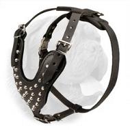 Strong Full Grain Leather Dog Harness with Impressive Pyramids for French Mastiff