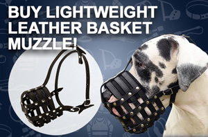 Super Ventilation Muzzle