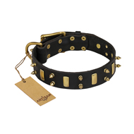 "Medieval Style" FDT Artisan Leather Dog De Bordeaux Collar with Brass Plates and Spikes