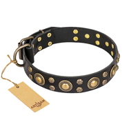 'Baroque Chic' FDT Artisan Studded Black Leather Dogue de Bordeaux Dog Collar
