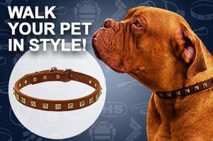 Leather Dog Collar