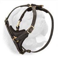 Lightweight Tracking/Walking Leather Harness for Dogue de Bordeaux Breed