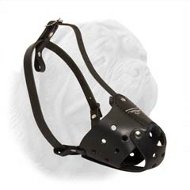 Everyday Dogue de Bordeaux Stylish Leather muzzle