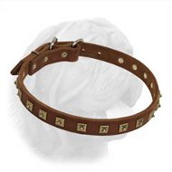 Even Pyramidal Spikes Decorated Leather Collar for Dogue de Bordeaux