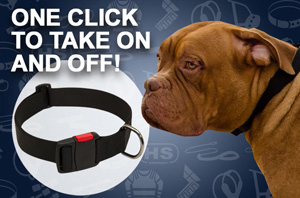 Nylon Training Collar