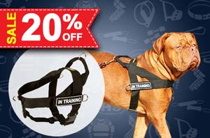Nylon dog harness