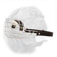 'The Silencer' Enhanced Design One-Strap Wire Cage Muzzle for Dogue de Bordeaux  'The Silencer' Enhanced Design One-Strap Wire Cage Muzzle for Dogue de Bordeaux