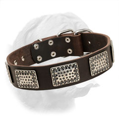 Strong Leather Dogue de Bordeaux Collar with Nickel Plated Hardware