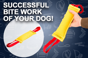 Dog bite tugs