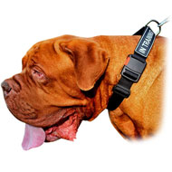 Extra Strong Dogue de Bordeaux Nylon Collar with Identification Patches