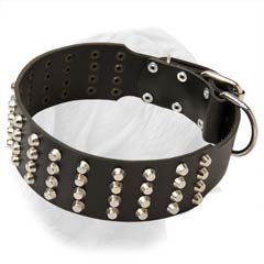 Decorative Leather Collar with Pyramids for Everyday Use