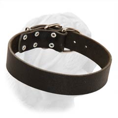 1 1/2 Inches Wide Leather Collar for Dogue de Bordeaux of Plain Design