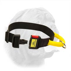 Reliable Nylon Collar with Specially Constructed Quick Release Buckle for Walking and Training