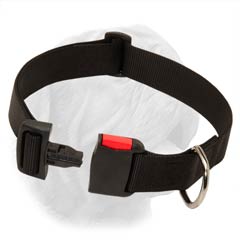 Water Resistant Strong Nylon Collar for French Mastiff 1 1/2 Inches Wide