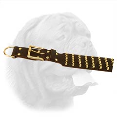 Shiny Brass Plated Spikes and Buckle on Extra Wide Dog Collar