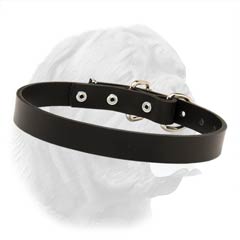 Dogue de Bordeaux High Quality Leather Buckle Collar 1 Inch Wide