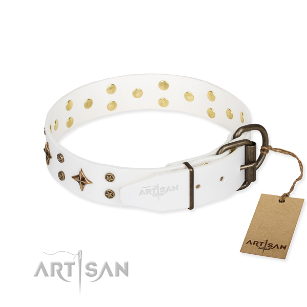 Everyday use genuine leather collar with adornments for your pet