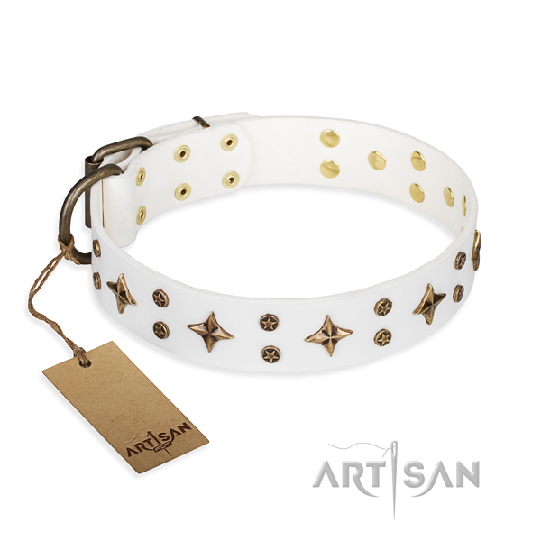 Exceptional leather dog collar for daily use