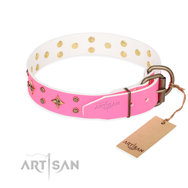 Walking full grain genuine leather collar with embellishments for your pet