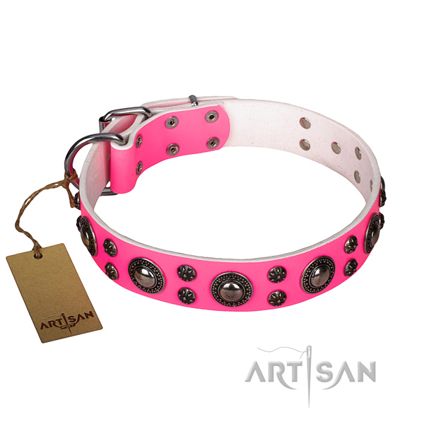 Exquisite leather dog collar for walking