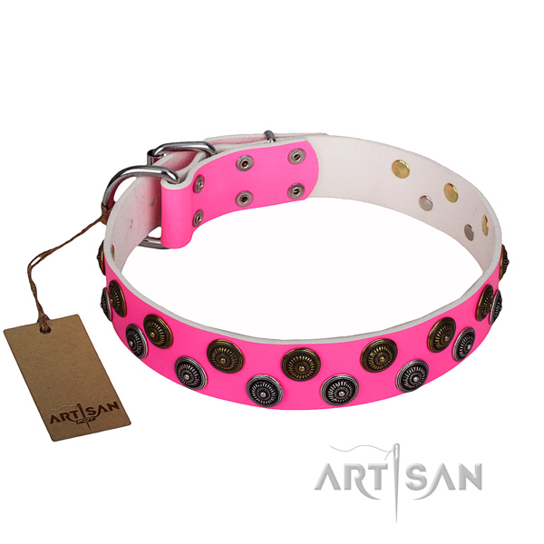 Amazing genuine leather dog collar for everyday walking