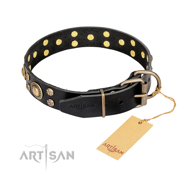 Stylish walking genuine leather collar with embellishments for your dog