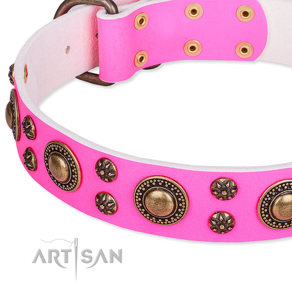 Natural genuine leather dog collar with remarkable embellishments
