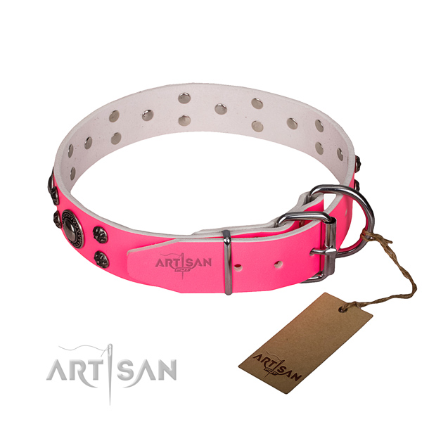Stylish walking full grain natural leather collar with strong buckle and D-ring