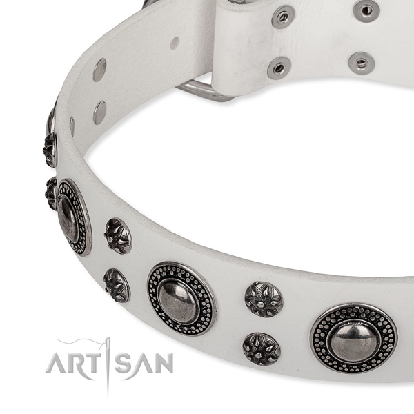 Walking natural genuine leather collar with durable buckle and D-ring