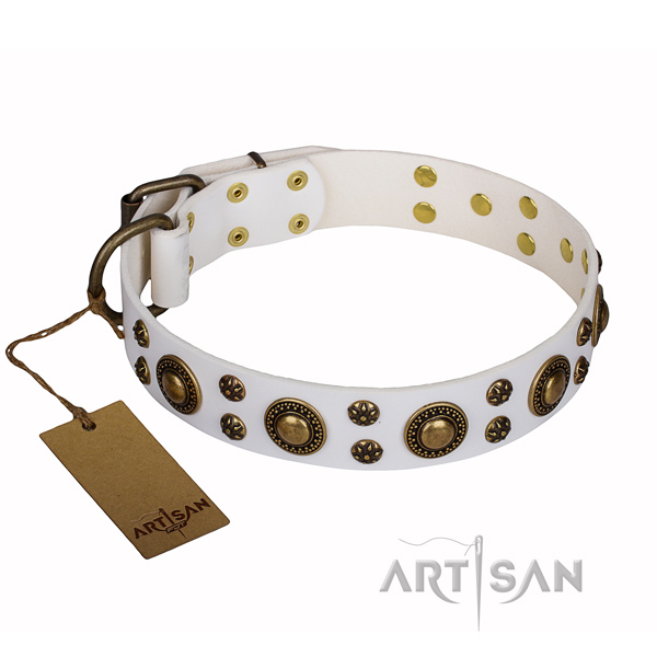 Everyday use leather collar with decorations for your pet