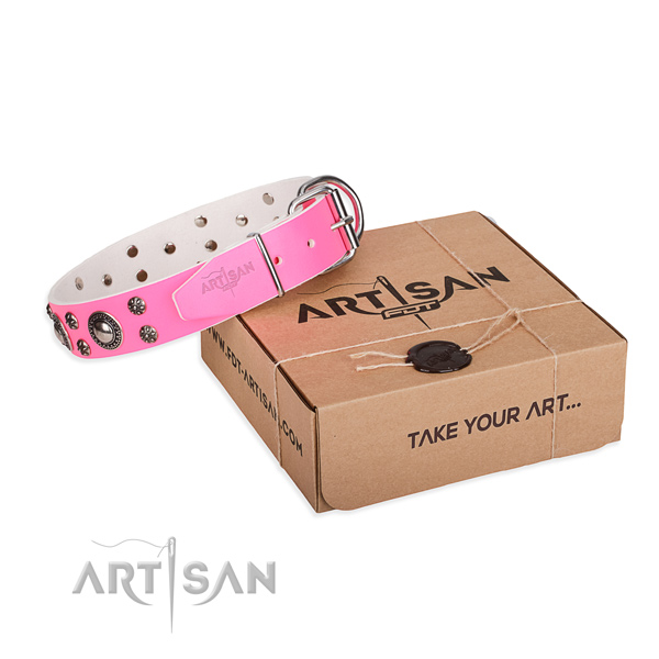 Perfect fit full grain genuine leather dog collar for stylish walking