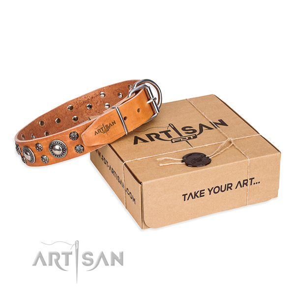 Awesome full grain genuine leather dog collar for stylish walking