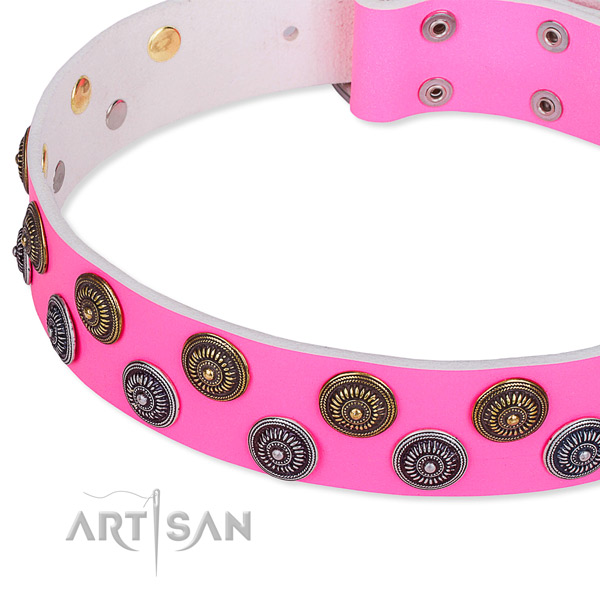 Full grain leather dog collar with amazing embellishments