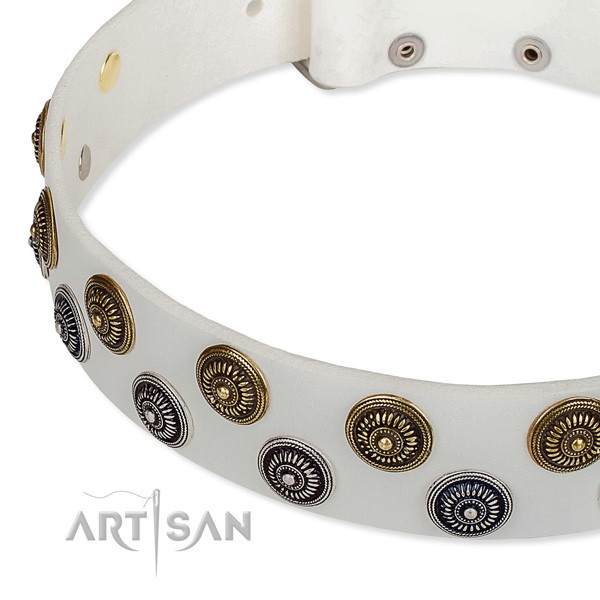Full grain leather dog collar with impressive decorations