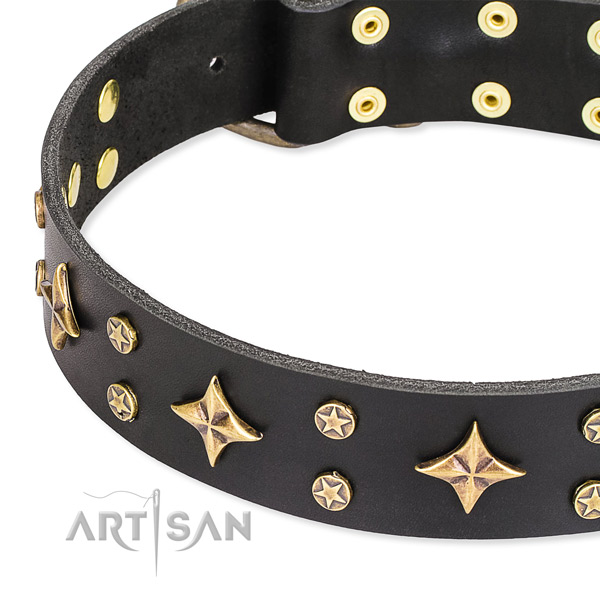 Full grain leather dog collar with exquisite adornments