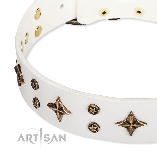 Full grain natural leather dog collar with fashionable embellishments