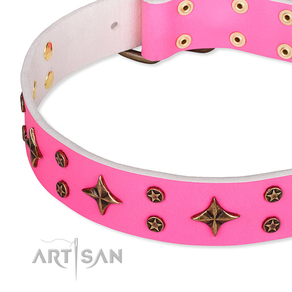Full grain natural leather dog collar with significant adornments