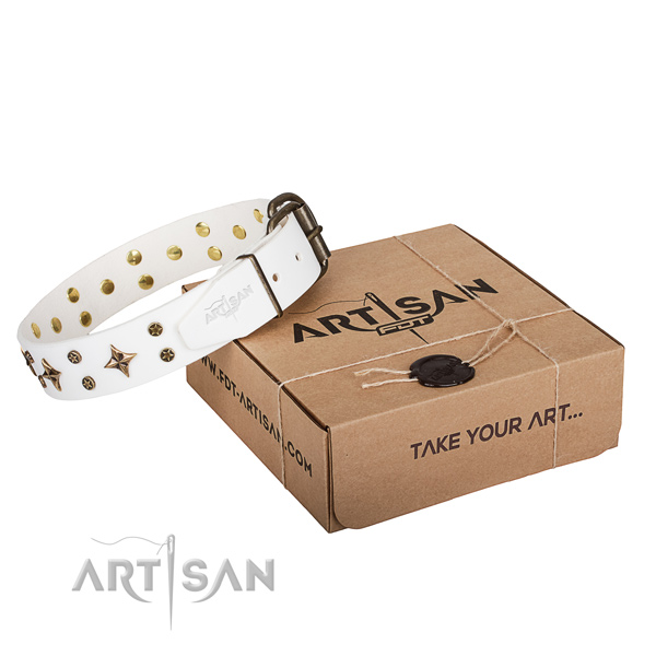 Studded natural genuine leather dog collar for everyday walking