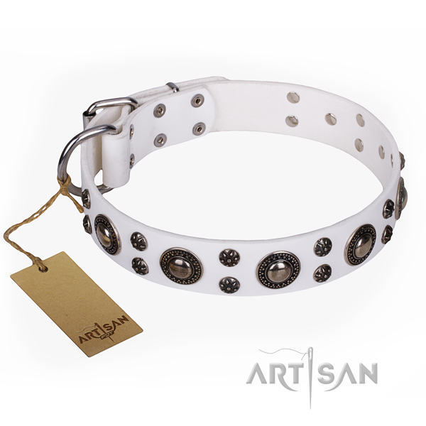 Incredible genuine leather dog collar for daily walking
