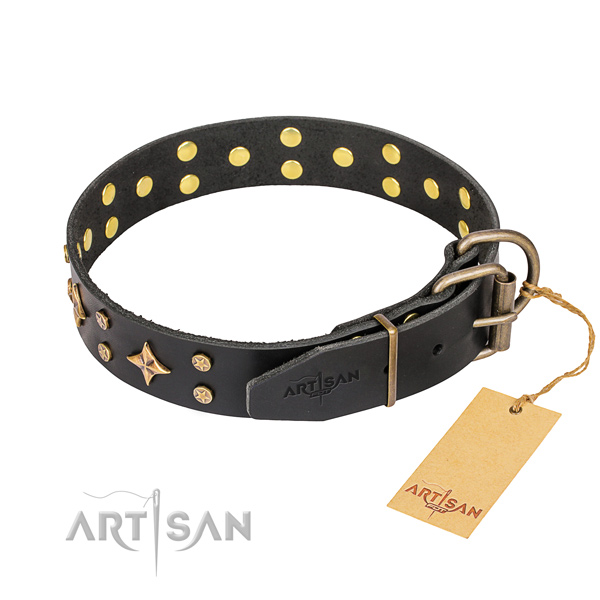 Everyday use leather collar with adornments for your four-legged friend